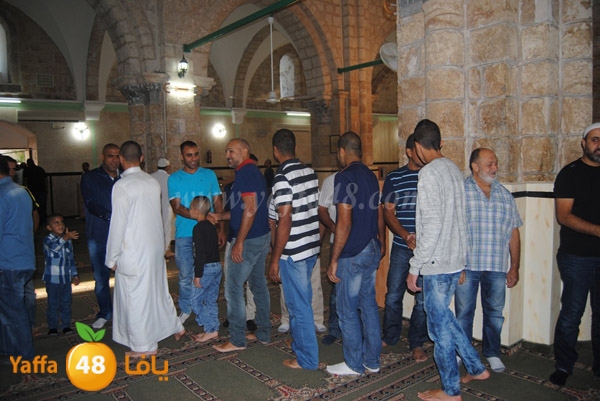 qerm ramla 3ed (8).JPG